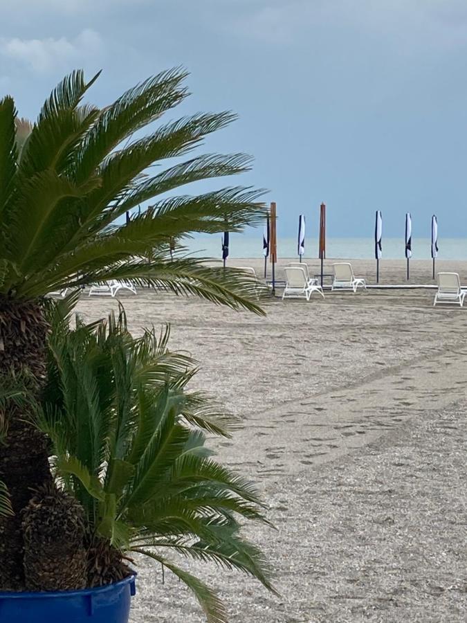 Vega Beach Apartment Mamaia Ngoại thất bức ảnh